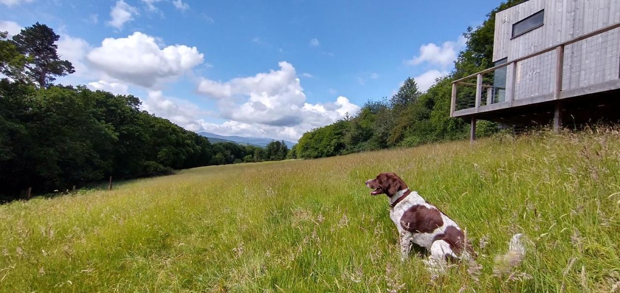 Nire Valley Eco Camp Ballymacarbry Eksteriør bilde